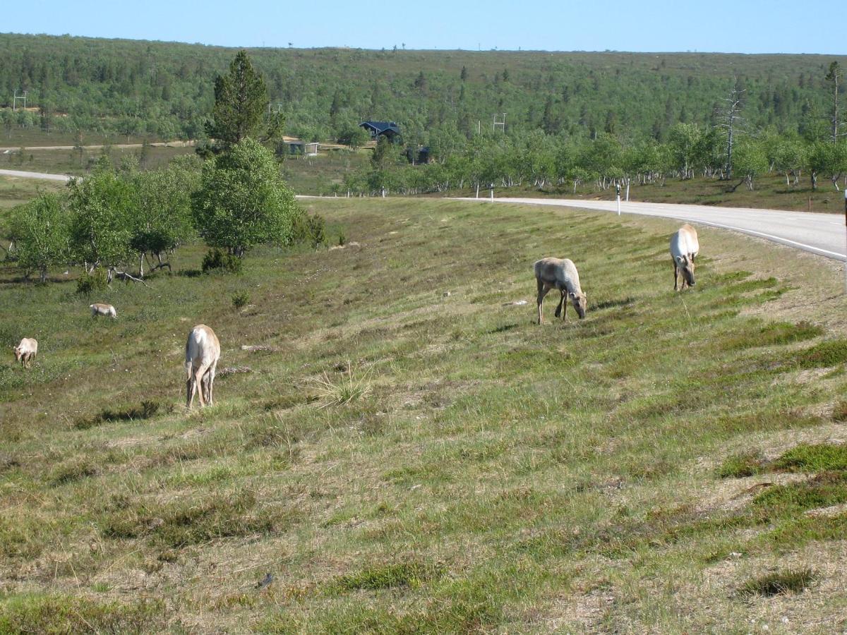Saariselaen Marjamajat Apartment Sopuli Saariselka Eksteriør bilde